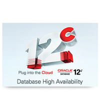 Database High Availabilit
